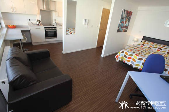 纽卡斯尔大学地理概述