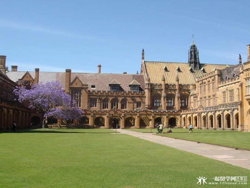 悉尼大学附近租房攻略及房租是多少？