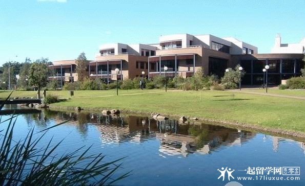 卧龙岗大学