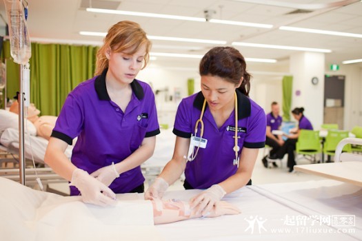 2-experience-uts-nursing