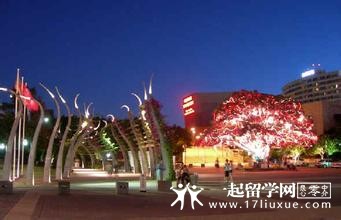 格里菲斯大学夜景