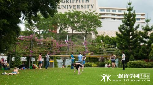 格里菲斯大学草坪