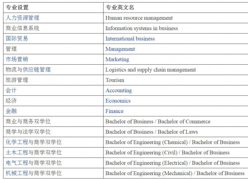 纽卡斯尔大学本科专业