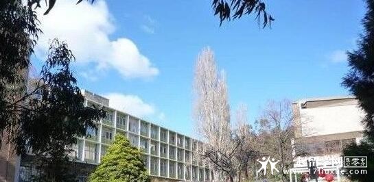 塔斯马尼亚大学