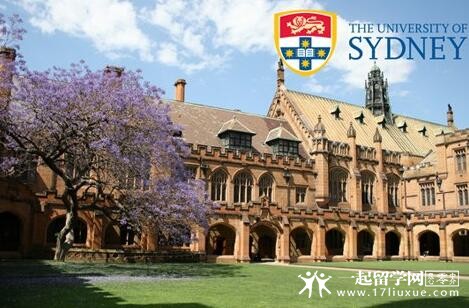 悉尼大学1234