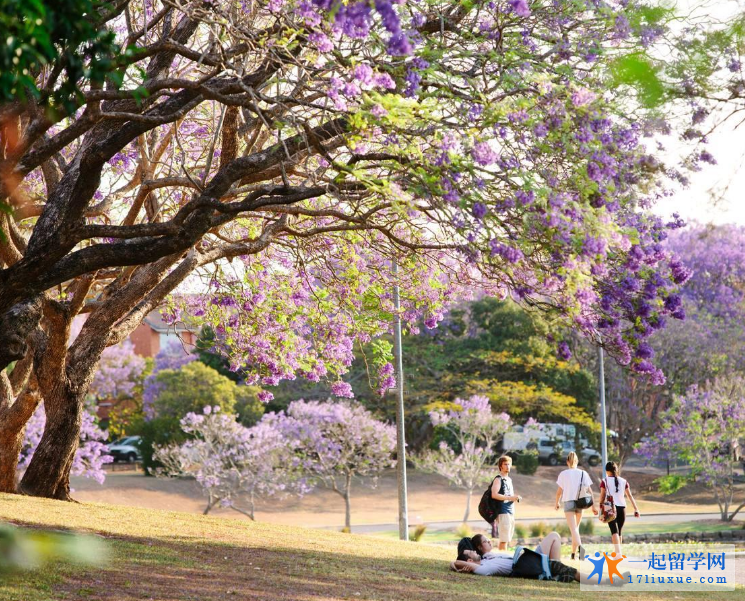 昆士兰大学校园风景 