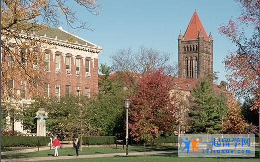 unitec理工学院图片