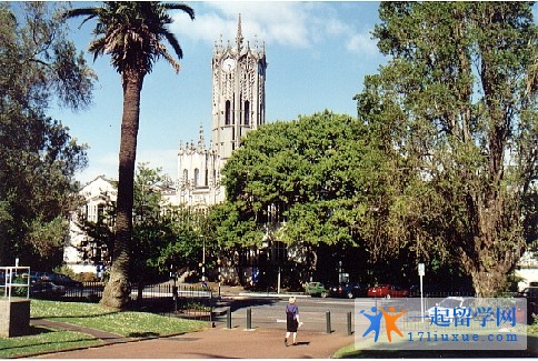 奥克兰大学 (67)