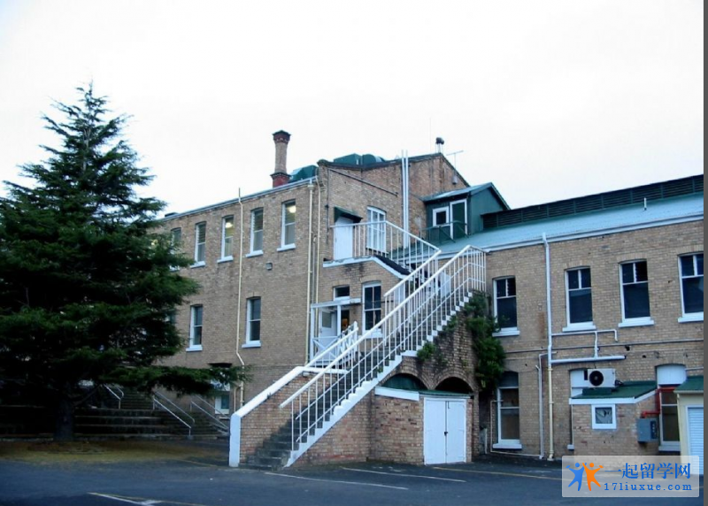 unitec理工学院 (8)