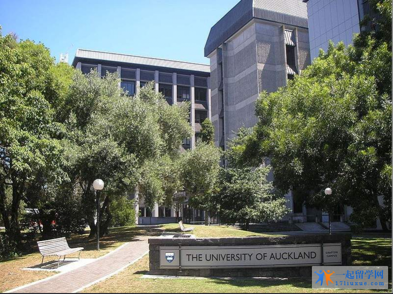 奥克兰大学 (62)