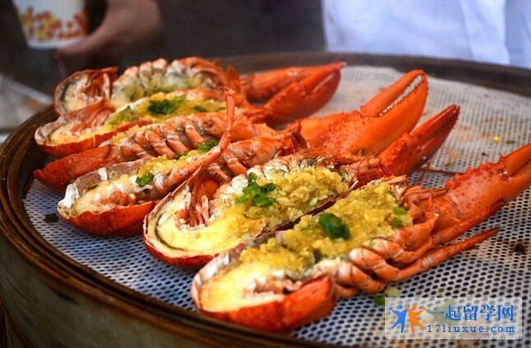 澳洲龙虾(澳龙):