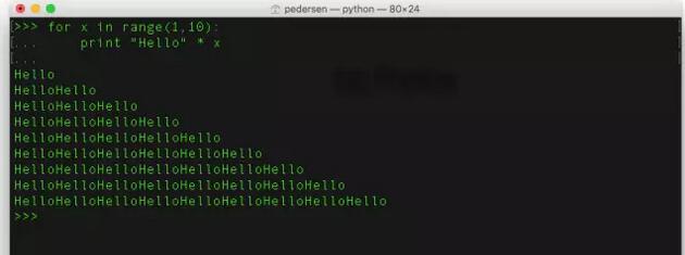 Python语言编程基础