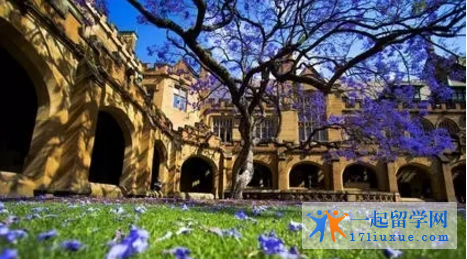 澳洲大学世界排名很高，但为什么有人觉得澳洲留学含金量不高？