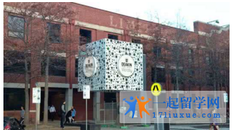 迪肯大学本科课程的申请条件是什么