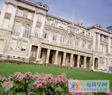 大学
