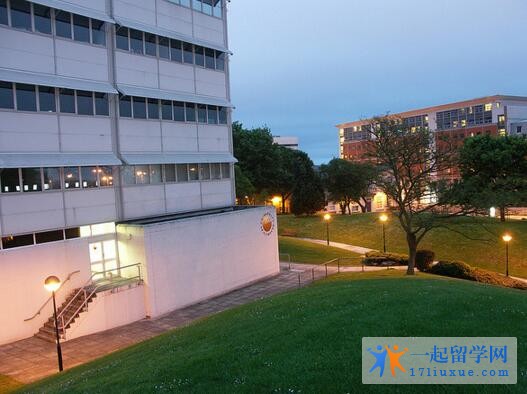 大学