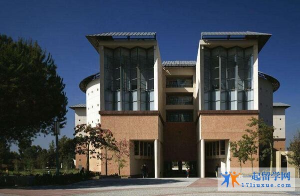 大学