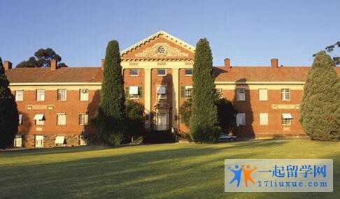 大学