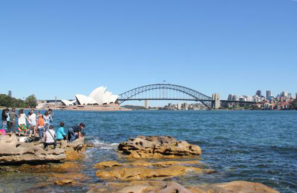 解析澳洲留学申请要求以及步骤