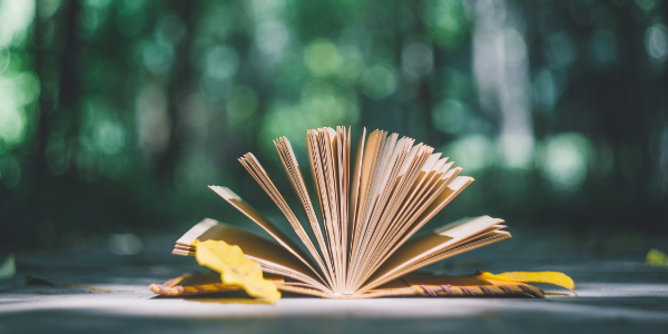 去新西兰奥克兰大学读会计硕士贵吗？