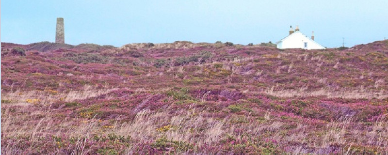 对于新西兰会计学专业的申请条件是什么？