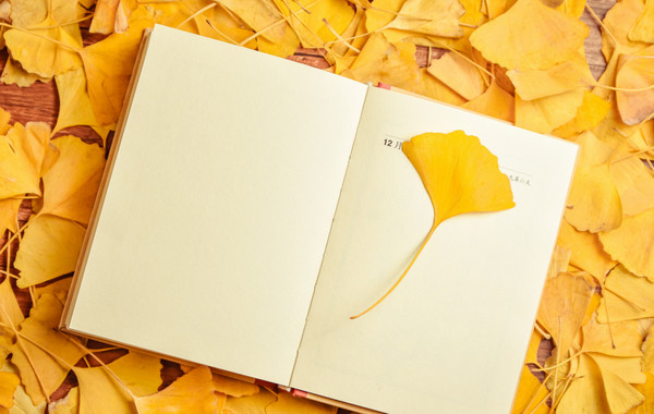 去新西兰读会计专业要多少钱