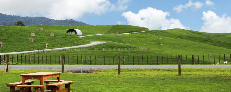 新西兰会计专业硕士的留学要求及优势学校介绍