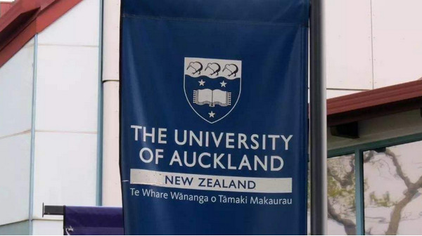 新西兰读本科能申请奖学金吗？