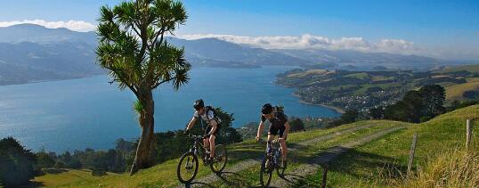 新西兰奥塔哥大学旅游专业课程解读