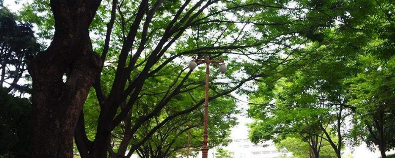 赫尔大学会计与金融学院的研究生申请条件（入学要求）高不高？