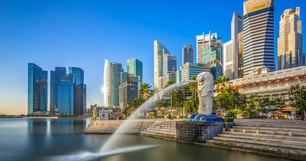 新加坡管理发展学院的优势专业推荐