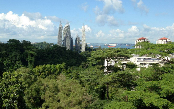 新加坡管理发展学院研究生申请条件及入学要求