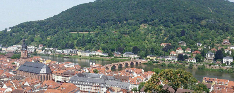 工料测量师专业 (14)